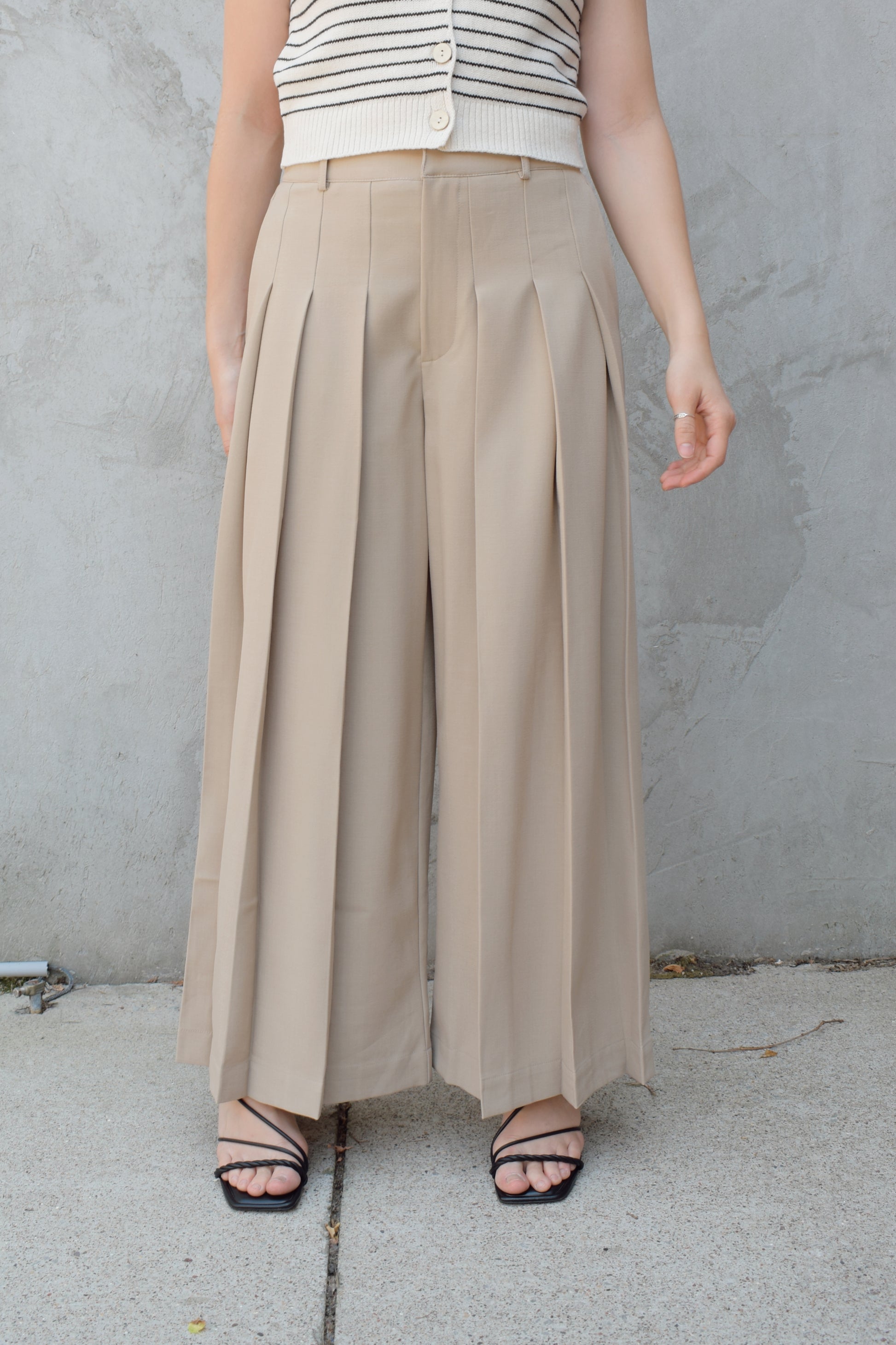 wide leg high rise trousers with pleats that extend fully down the front of the leg, zip and clasp enclosure, has pockets and belt loops, full length, elastic on back of waistband