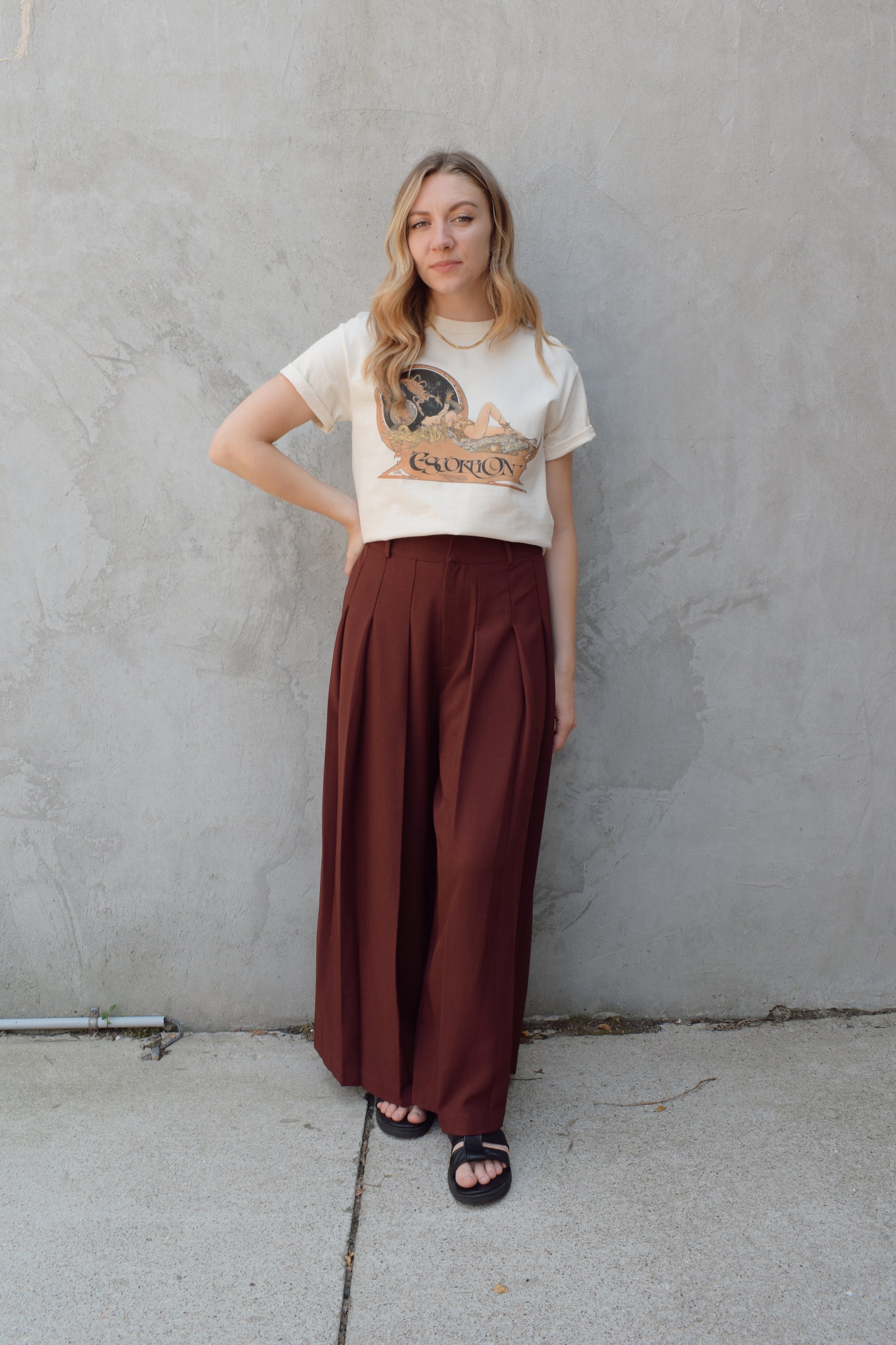 wide leg high rise trousers with pleats that extend fully down the front of the leg, zip and clasp enclosure, has pockets and belt loops, full length, elastic on back of waistband