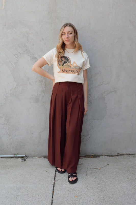 wide leg high rise trousers with pleats that extend fully down the front of the leg, zip and clasp enclosure, has pockets and belt loops, full length, elastic on back of waistband