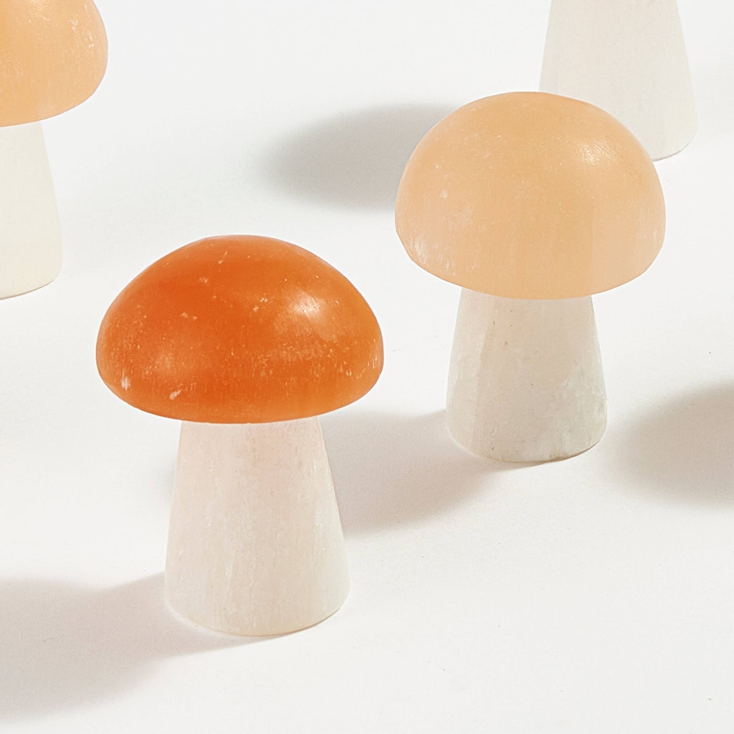 GeoCentral - Selenite Mushroom 🍄