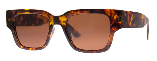 Brady sunglasses