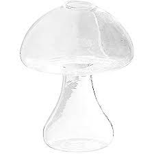 mushroom propagation vase